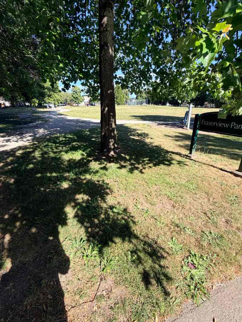 walking near me in Capstan Neighbourhood Park in summer