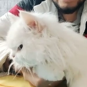 Sunil Chopra icon