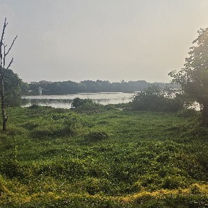 Ashwin profile