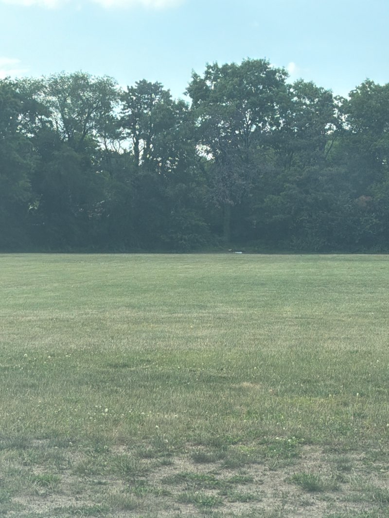 walking near me in Chicago Park in summer