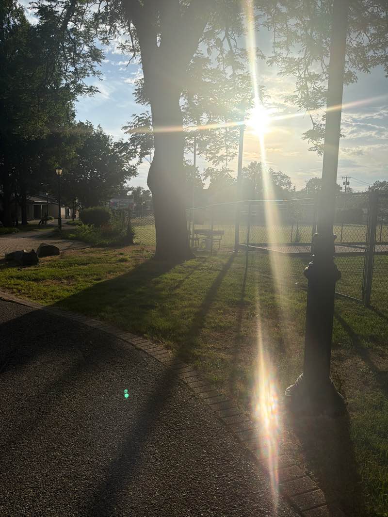 walking near me in Westbury War Memorial Park in summer
