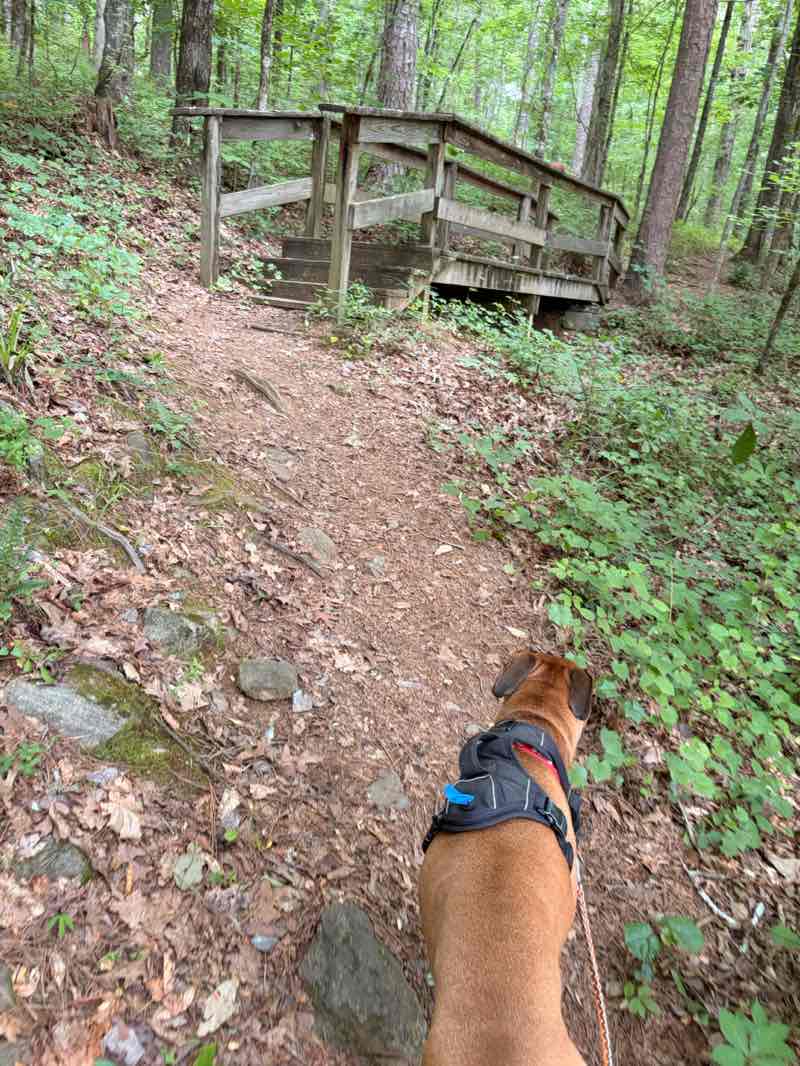 walking near me in Hard Labor Creek State Park in summer
