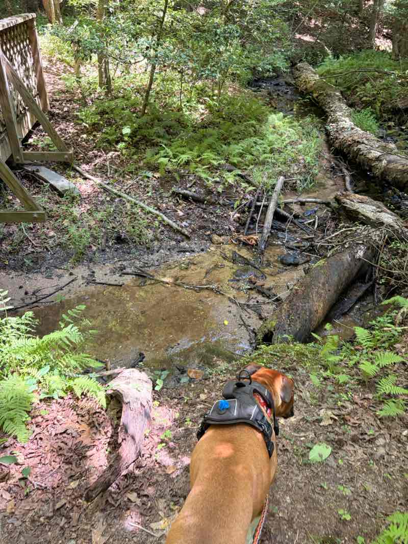 walking near me in Don Carter State Park in summer