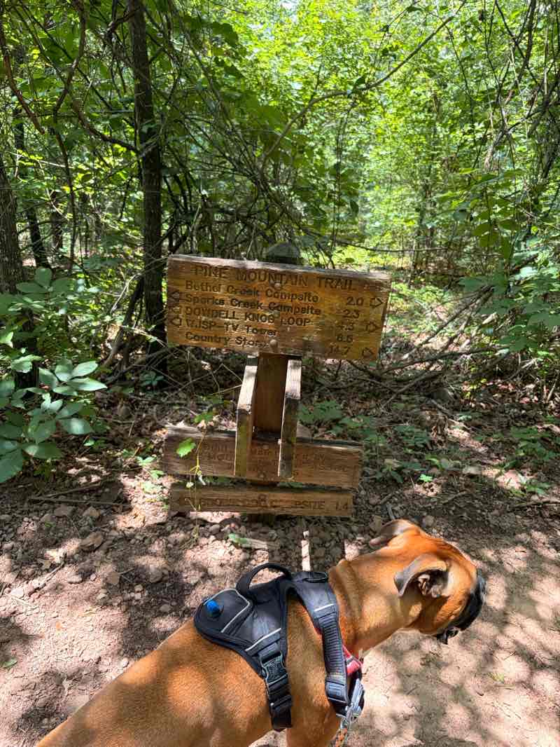 walking near me in F. D. Roosevelt State Park in summer