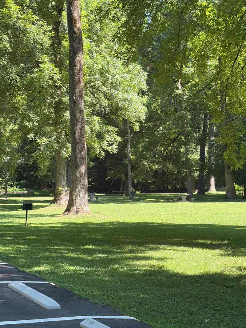 walking near me in Indian Springs State Park in summer