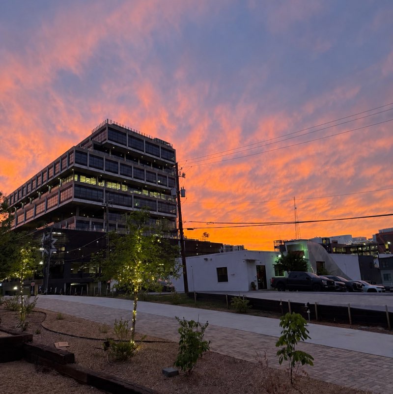 participant 0