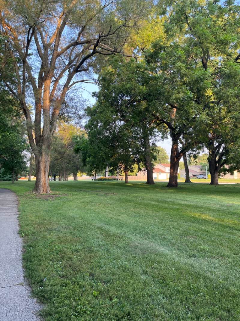 walking near me in Meredith Park in summer