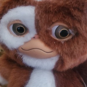 Toyre