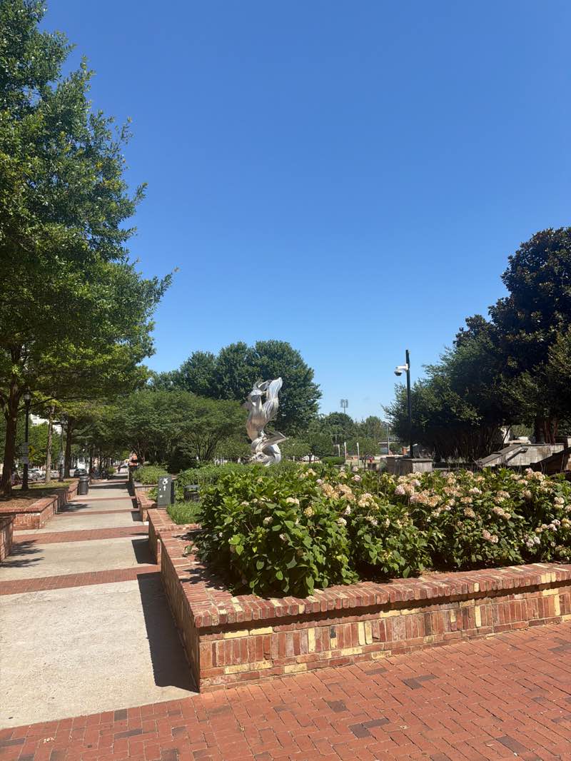walking near me in Romare Bearden Park in summer