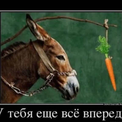 крутые ПЕРЦЫ Mooni post image