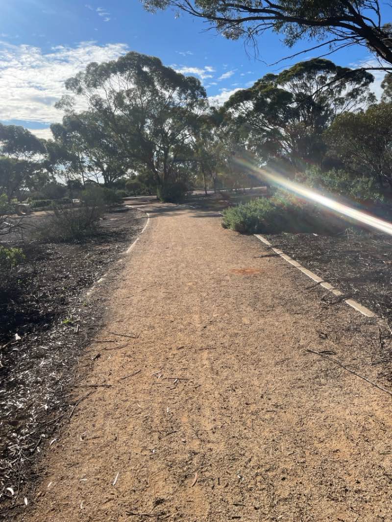 walking near me in Loxton Community Conservation & Heritage Park in winter