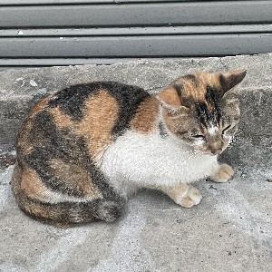 .. profile