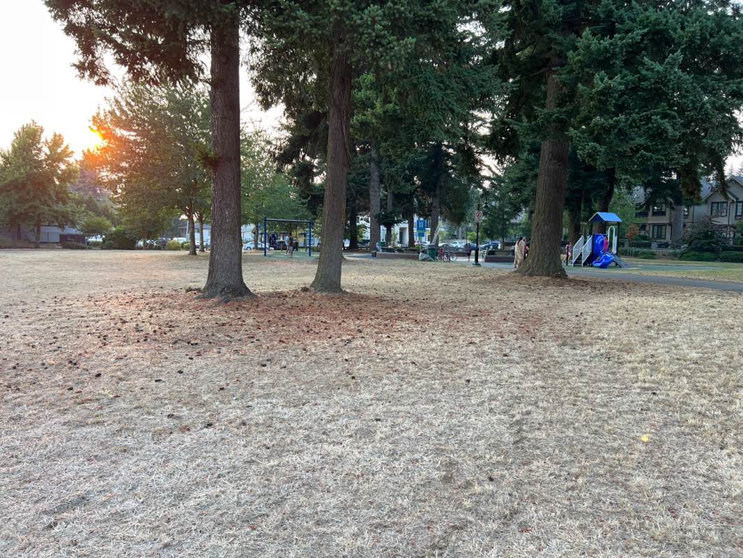 walking near me in J A Spud Murphy Park in summer