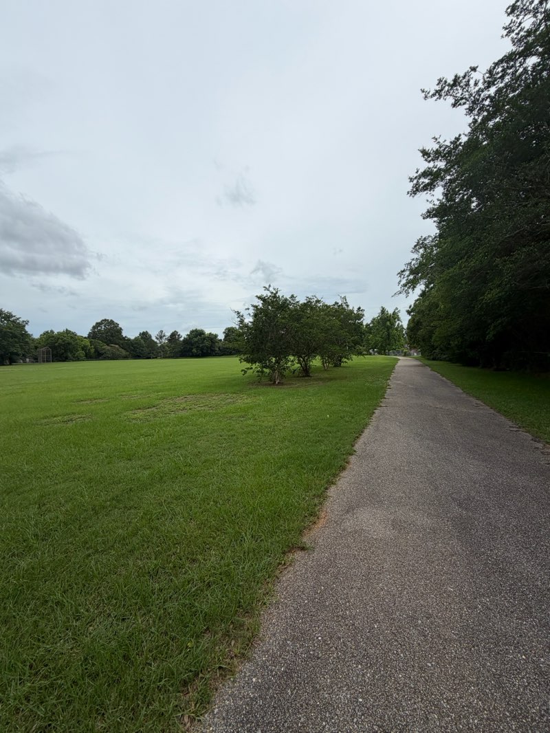 walking near me in Hyde Park in summer