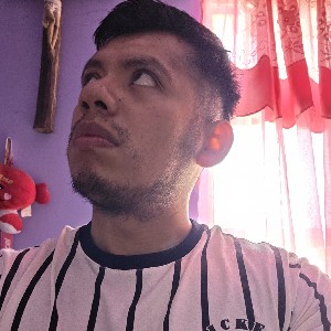 Luis Mendoza profile