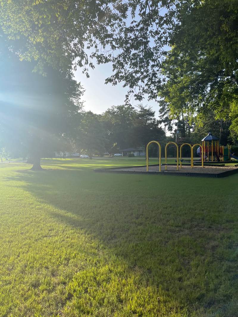 walking near me in Hancock Park in summer