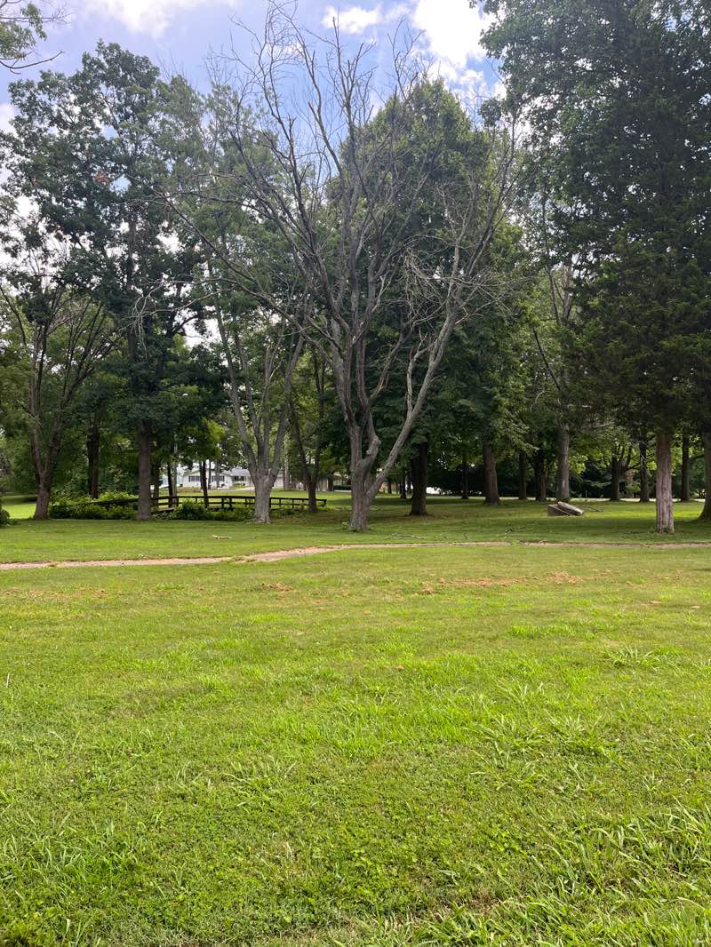 walking near me in A Living Memorial in summer