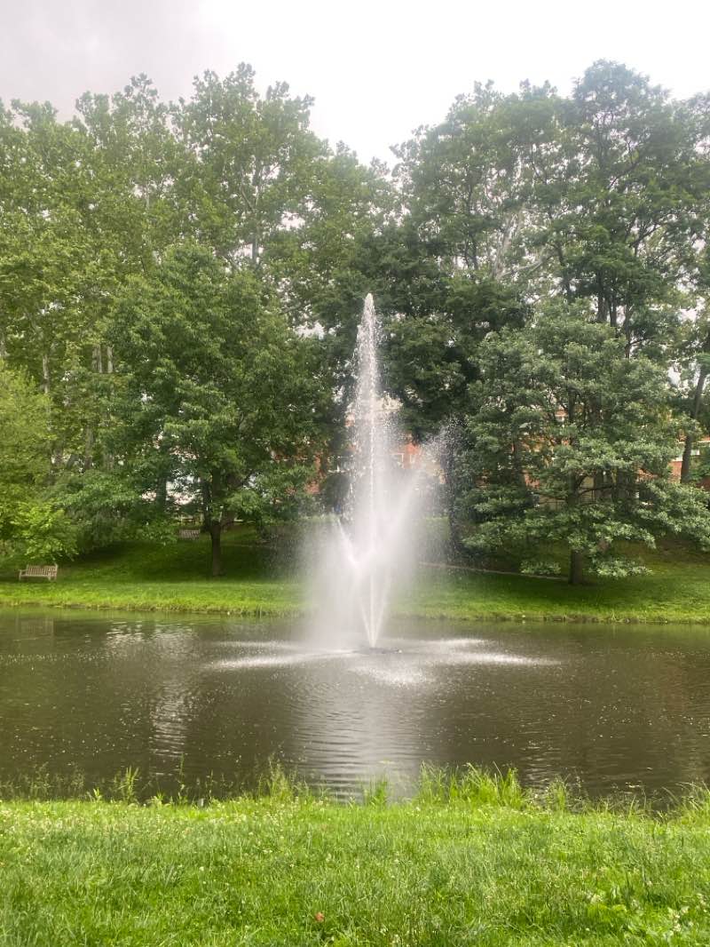 walking near me in Bicentennial Park in summer