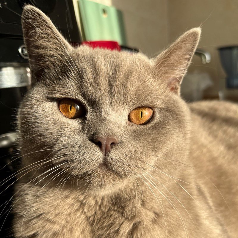 Eduards profile