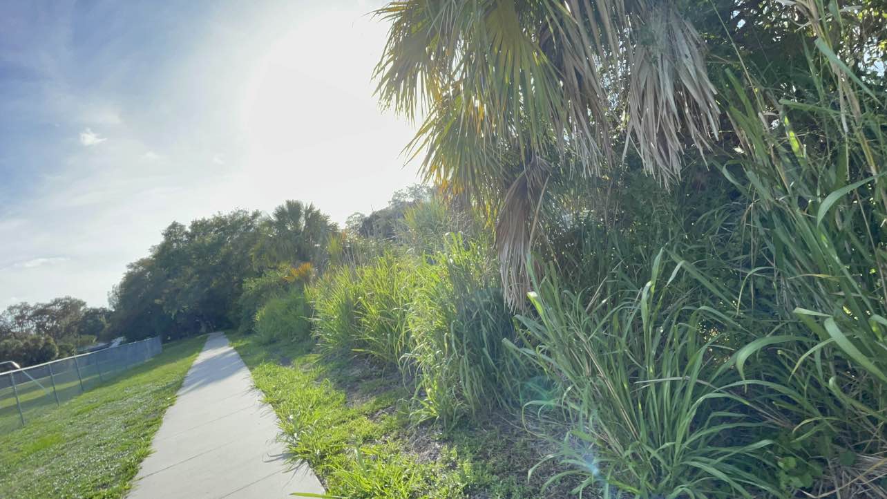walking near me in Hendry LaBelle Civic Park in summer