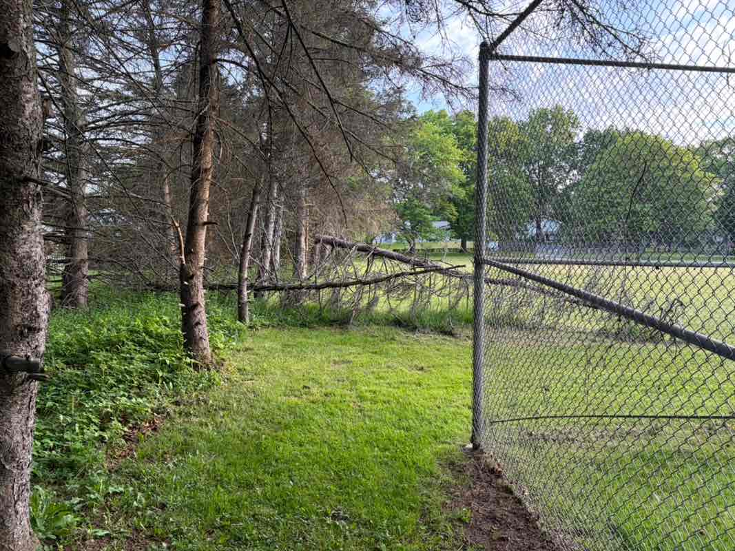 walking near me in Schantz Park in summer