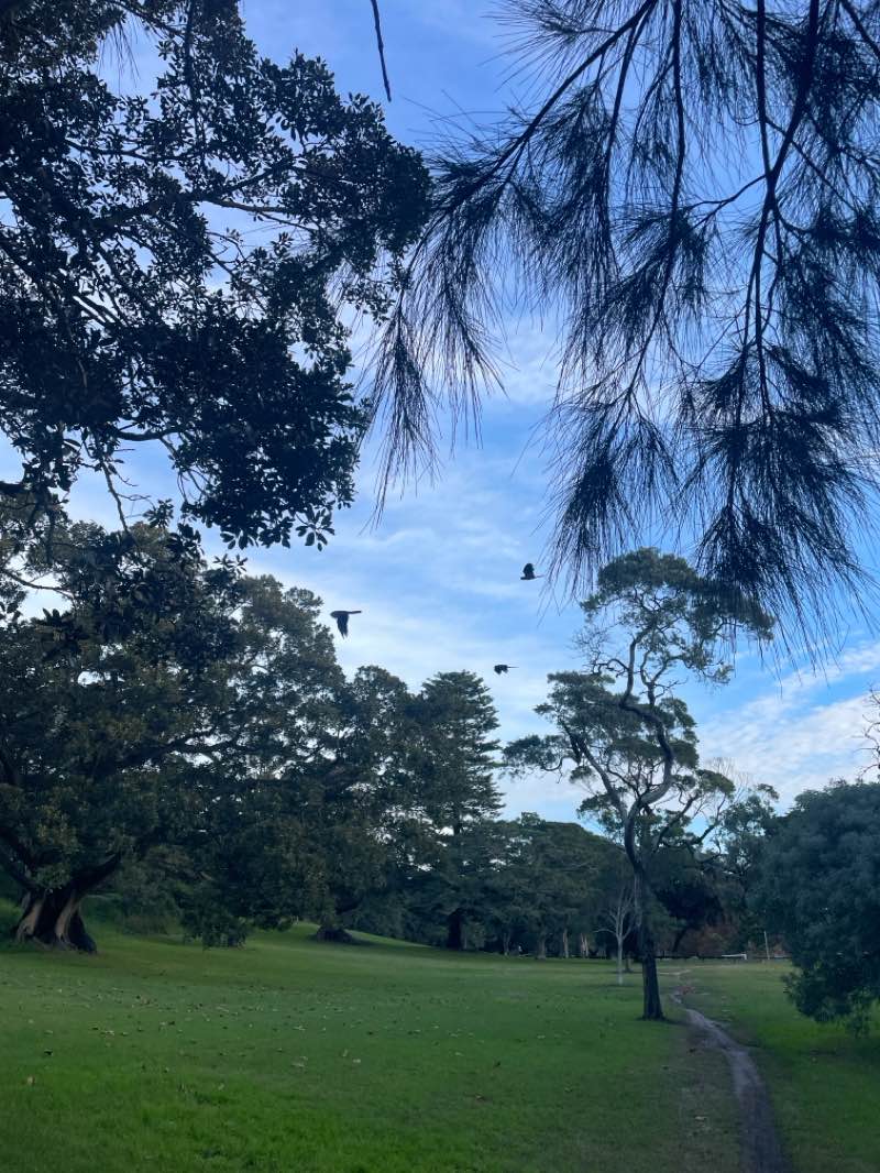 walking near me in Centennial Park in winter
