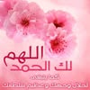 Walaa Sameer