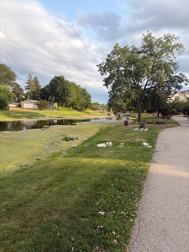 walking near me in Mill Pond Park in summer