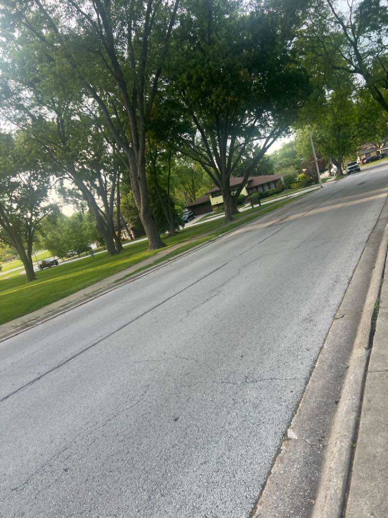 walking near me in Brown Park in summer