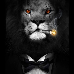 Blaze