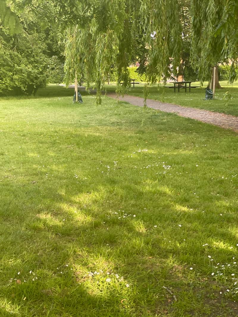 walking near me in Cosham Park in summer