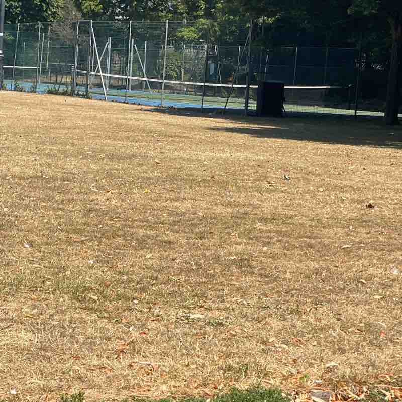 dhellis64 post 3