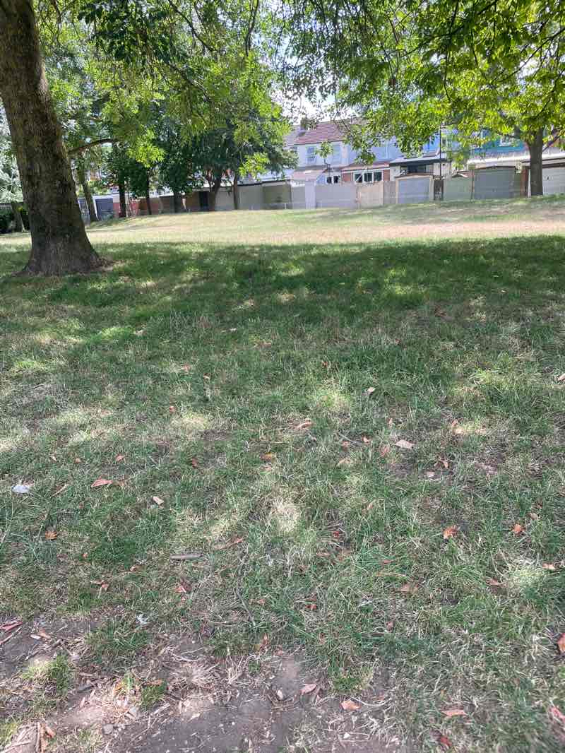 walking near me in Cobden Park in summer