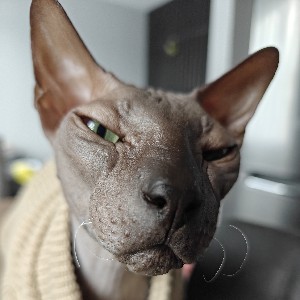 Andris profile