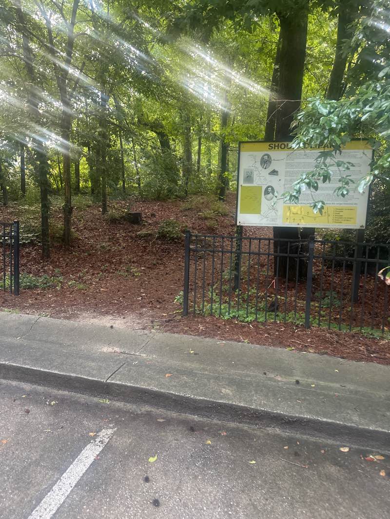 walking near me in Shoupade Park in summer