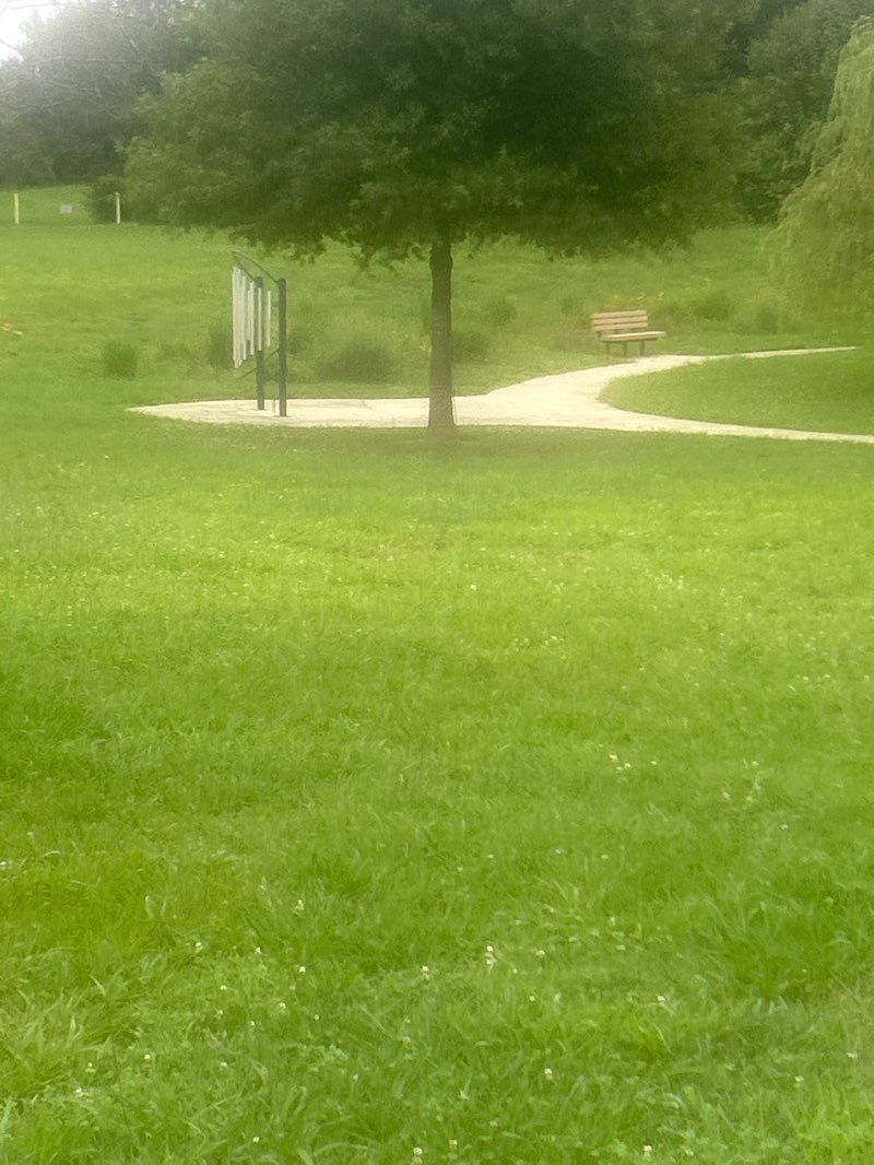walking near me in Countryside Park in summer