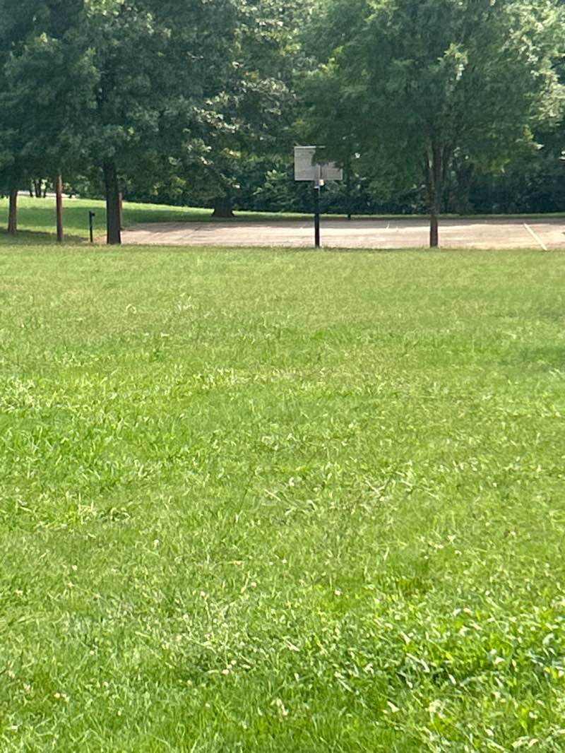 walking near me in Preston Park in summer