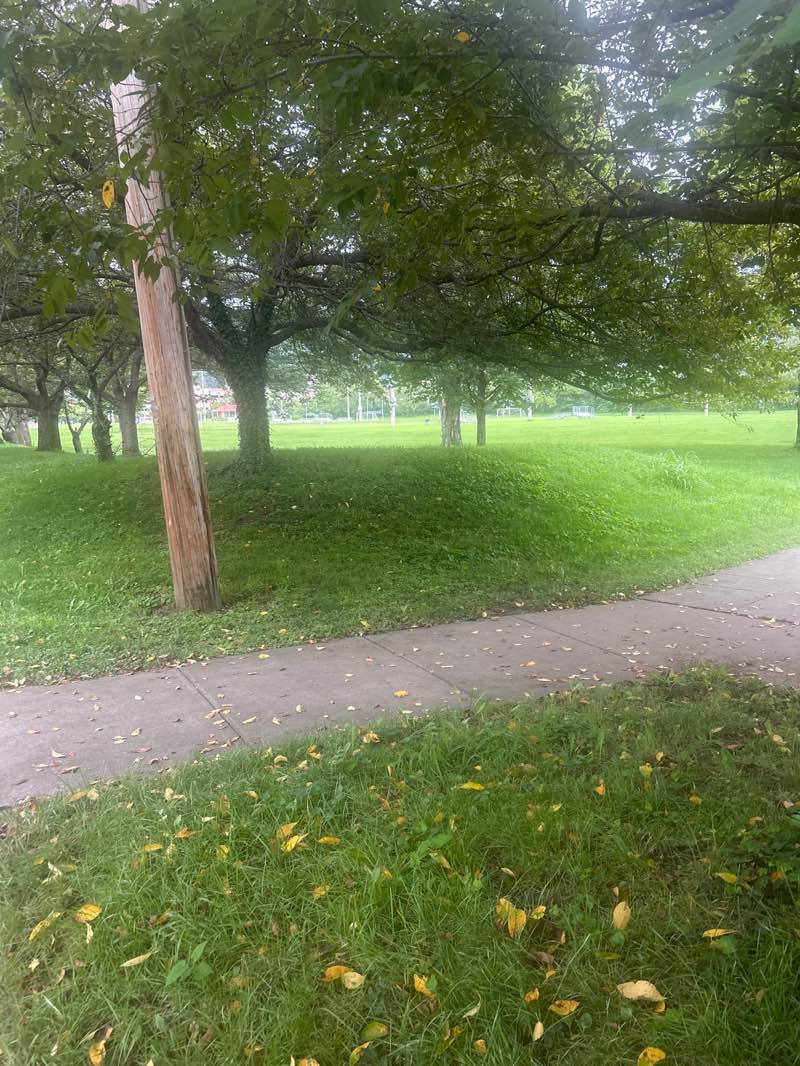 walking near me in Rivers Edge Park in summer