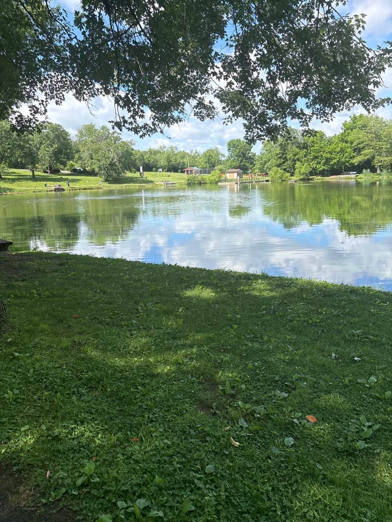 walking near me in Burrell Lake Park in summer