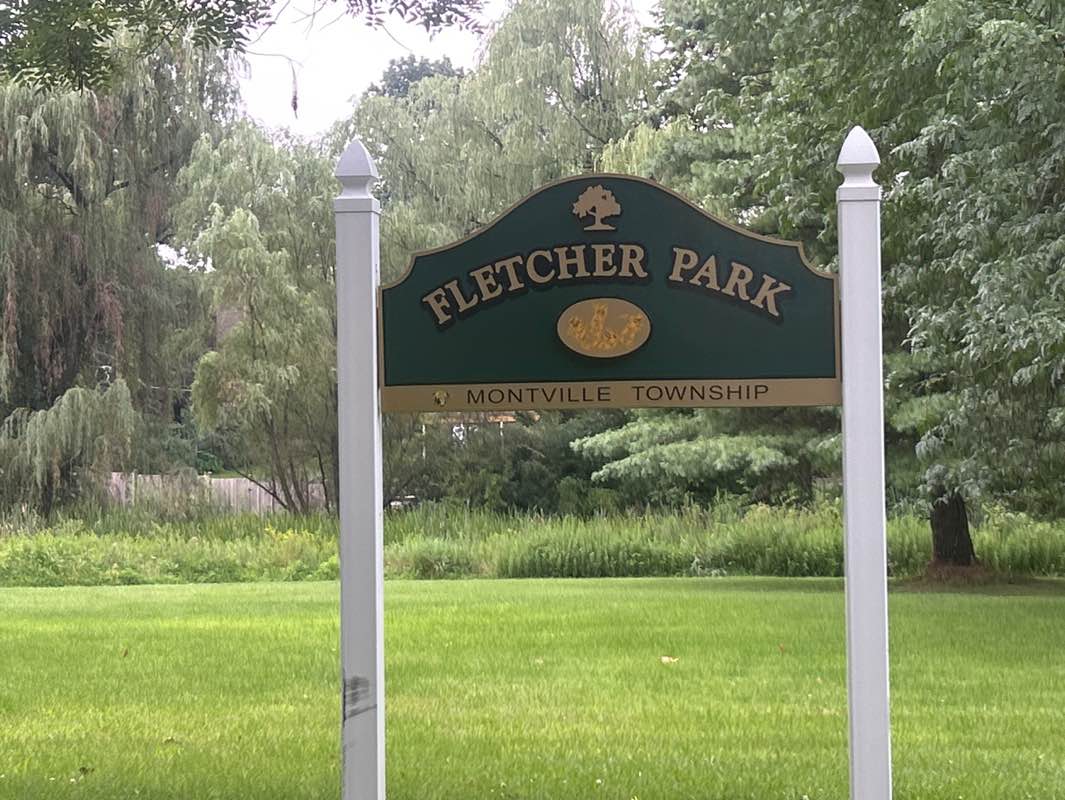 walking near me in Fletcher Park in summer