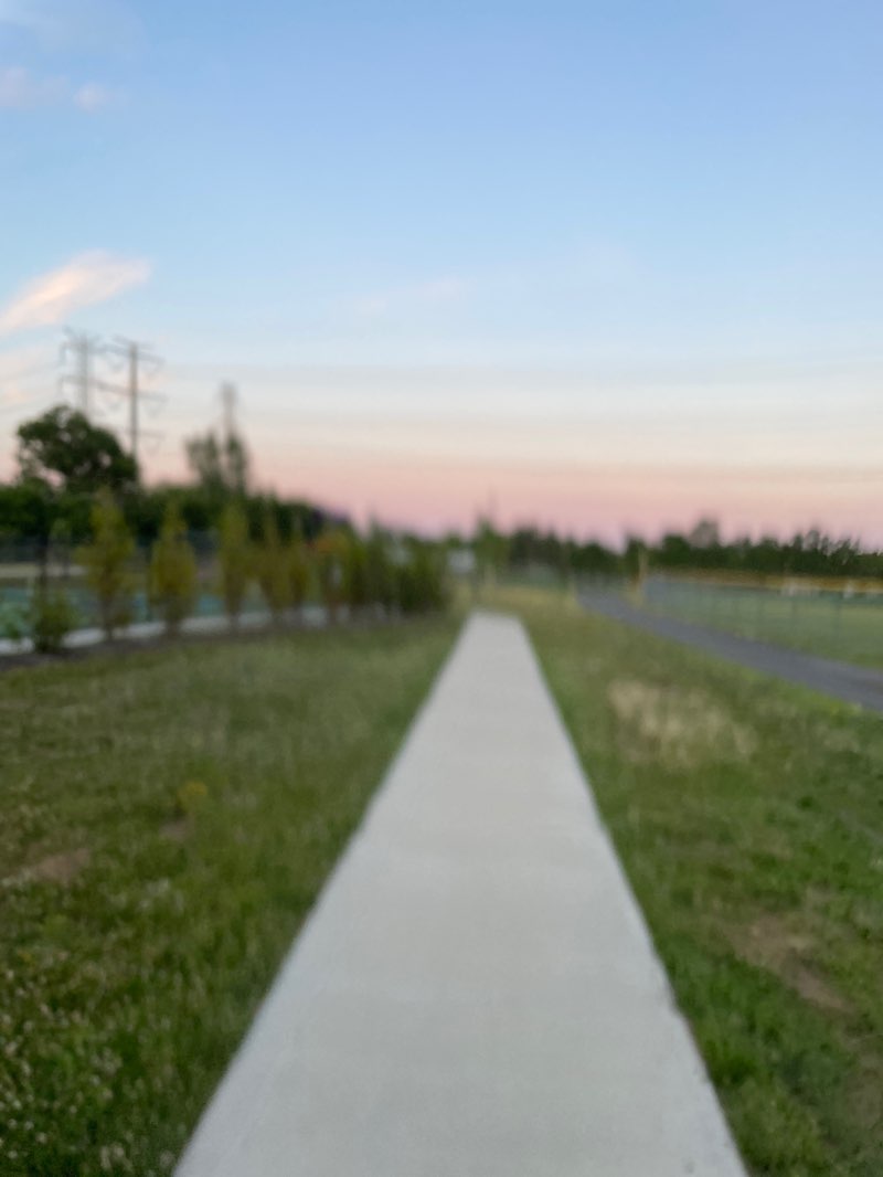 walking near me in Regina Street Park in summer