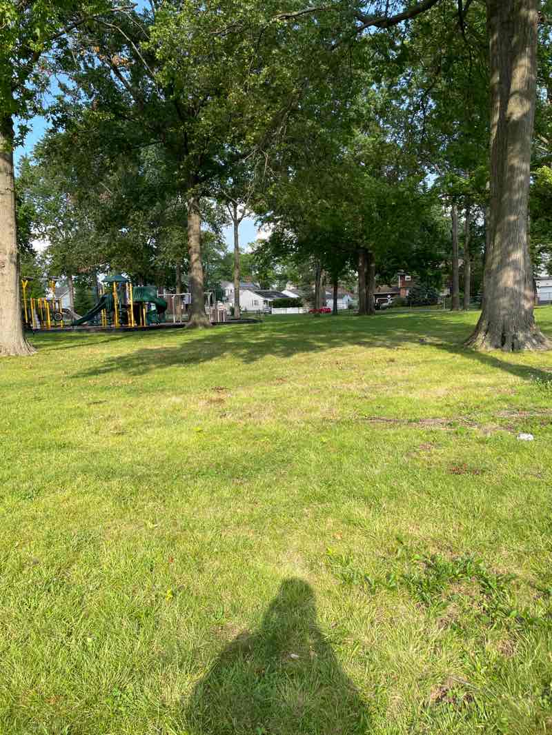 walking near me in Prospect Park in summer