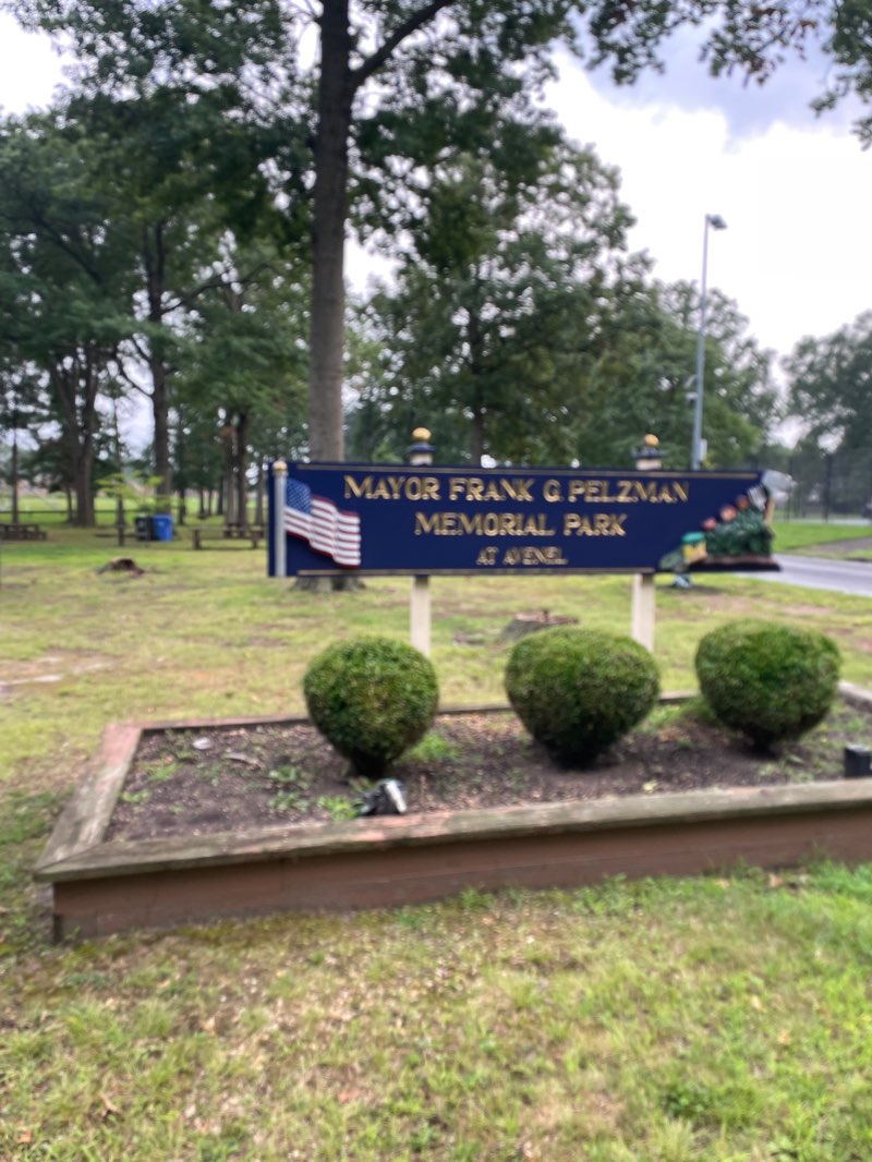 walking near me in Frank G. Memorial Park in summer