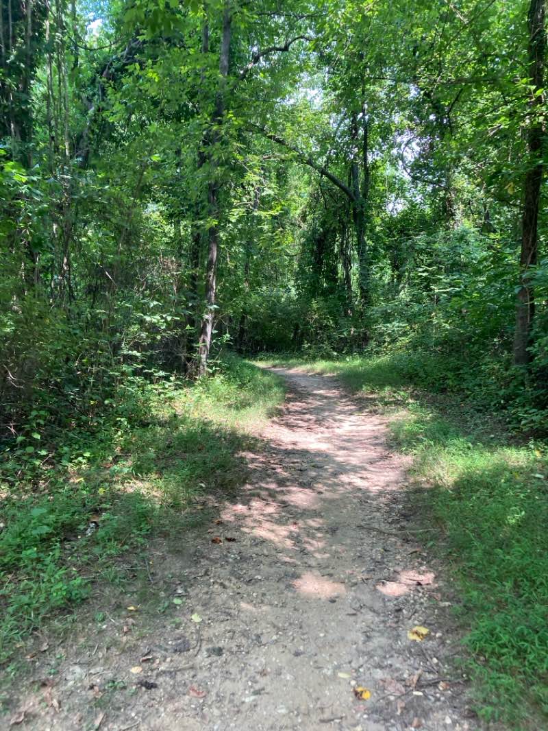walking near me in Rockburn Branch Park in summer