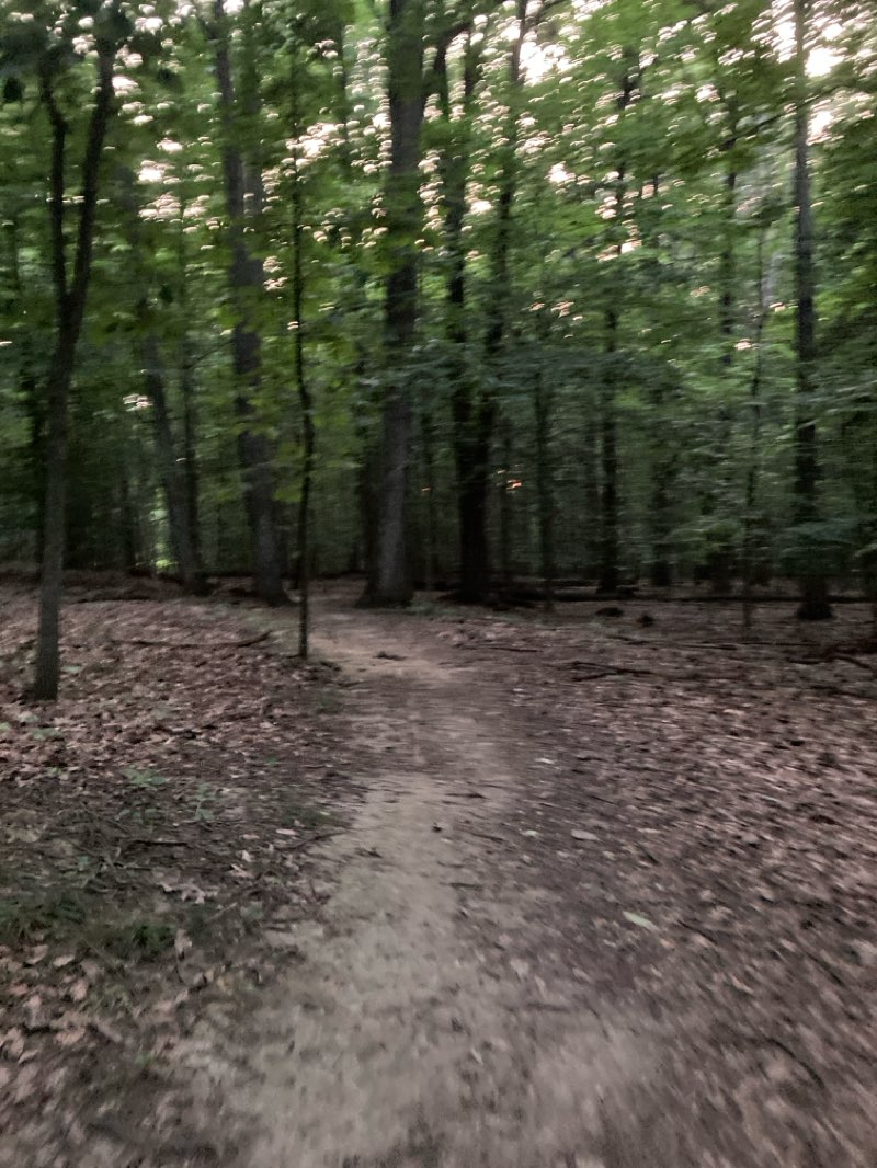 walking near me in Rockburn Skills Park in summer