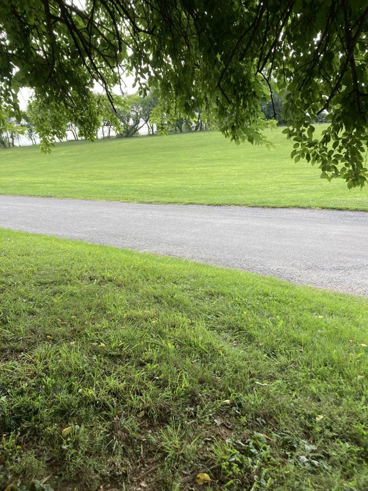 walking near me in West Friendship Park in summer