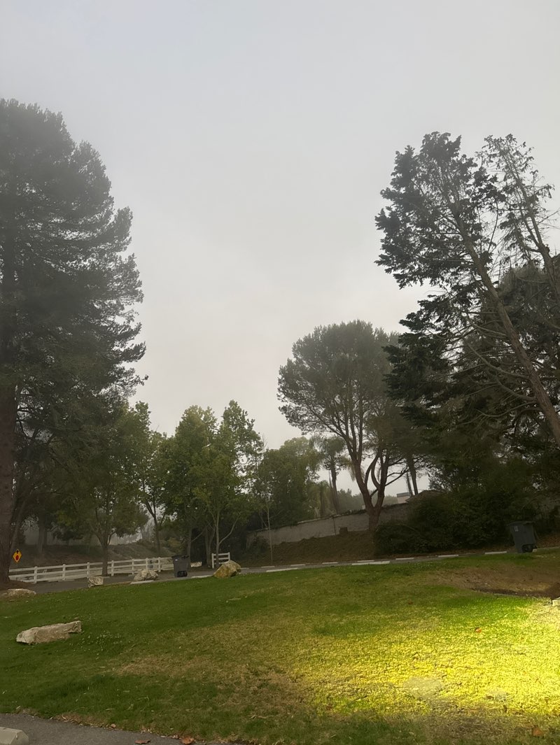walking near me in Highridge Park in summer