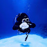 Diver