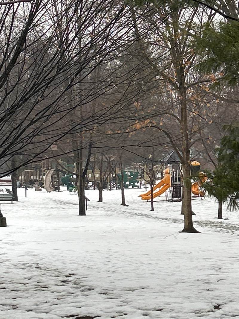 walking near me in City Park in winter