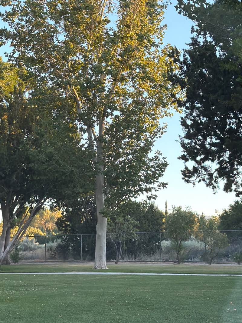 walking near me in Rawley Duntley Park in summer